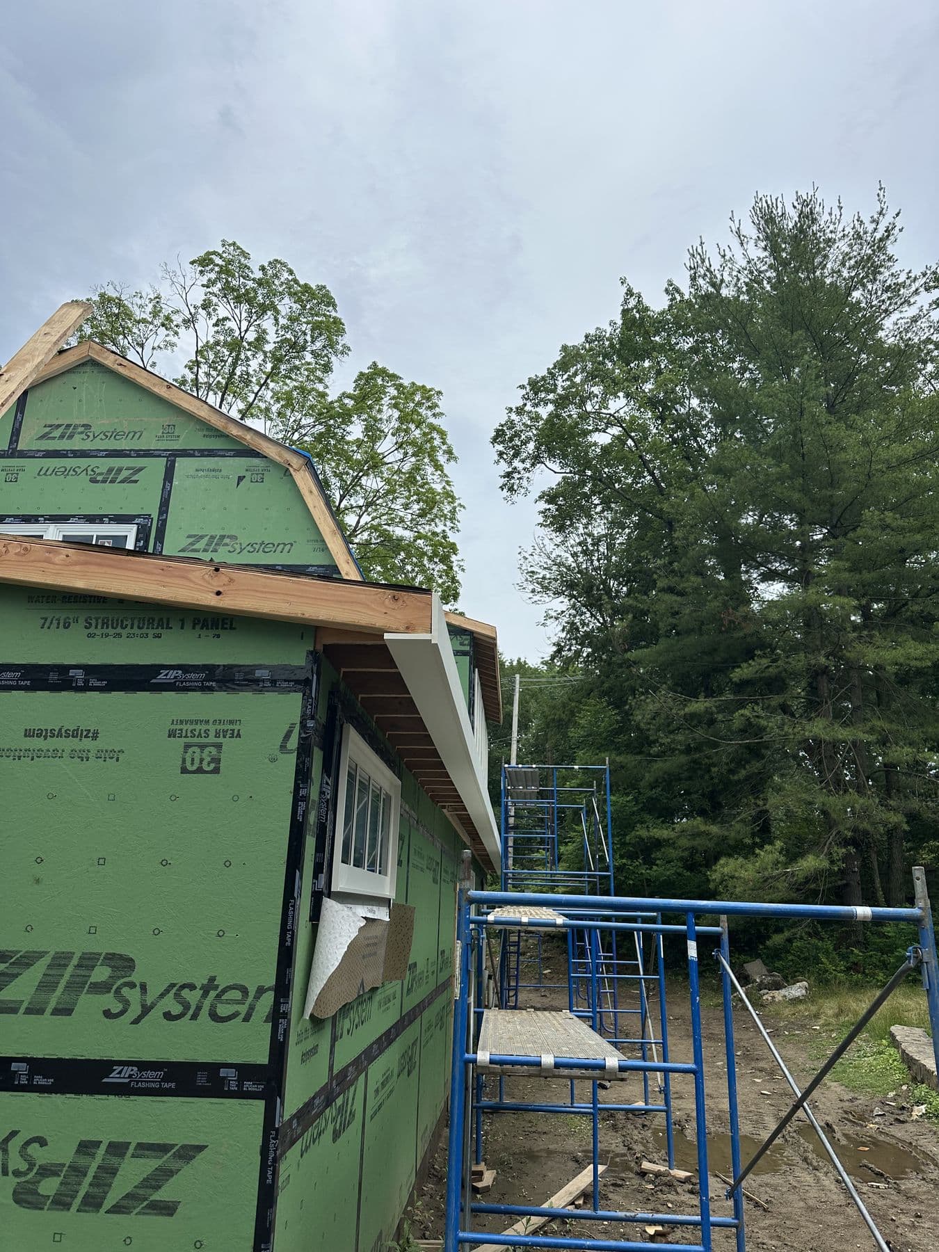 Addition wall sheathed in green ZIP System panels with taped seams, scaffolding beside it