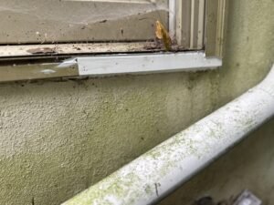 Deteriorated window sill with dirt and cobwebs on a green stucco wall before exterior repair