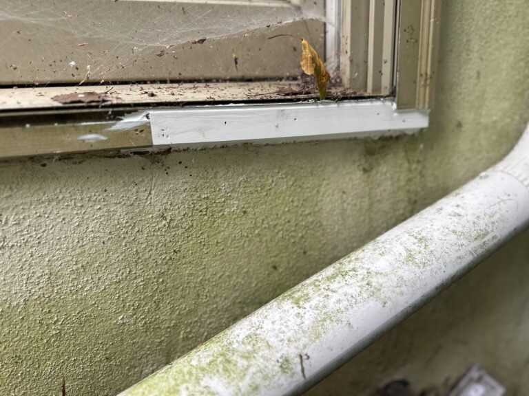 Deteriorated window sill with dirt and cobwebs on a green stucco wall before exterior repair